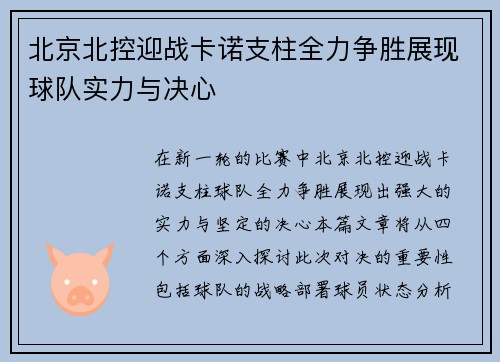 北京北控迎战卡诺支柱全力争胜展现球队实力与决心